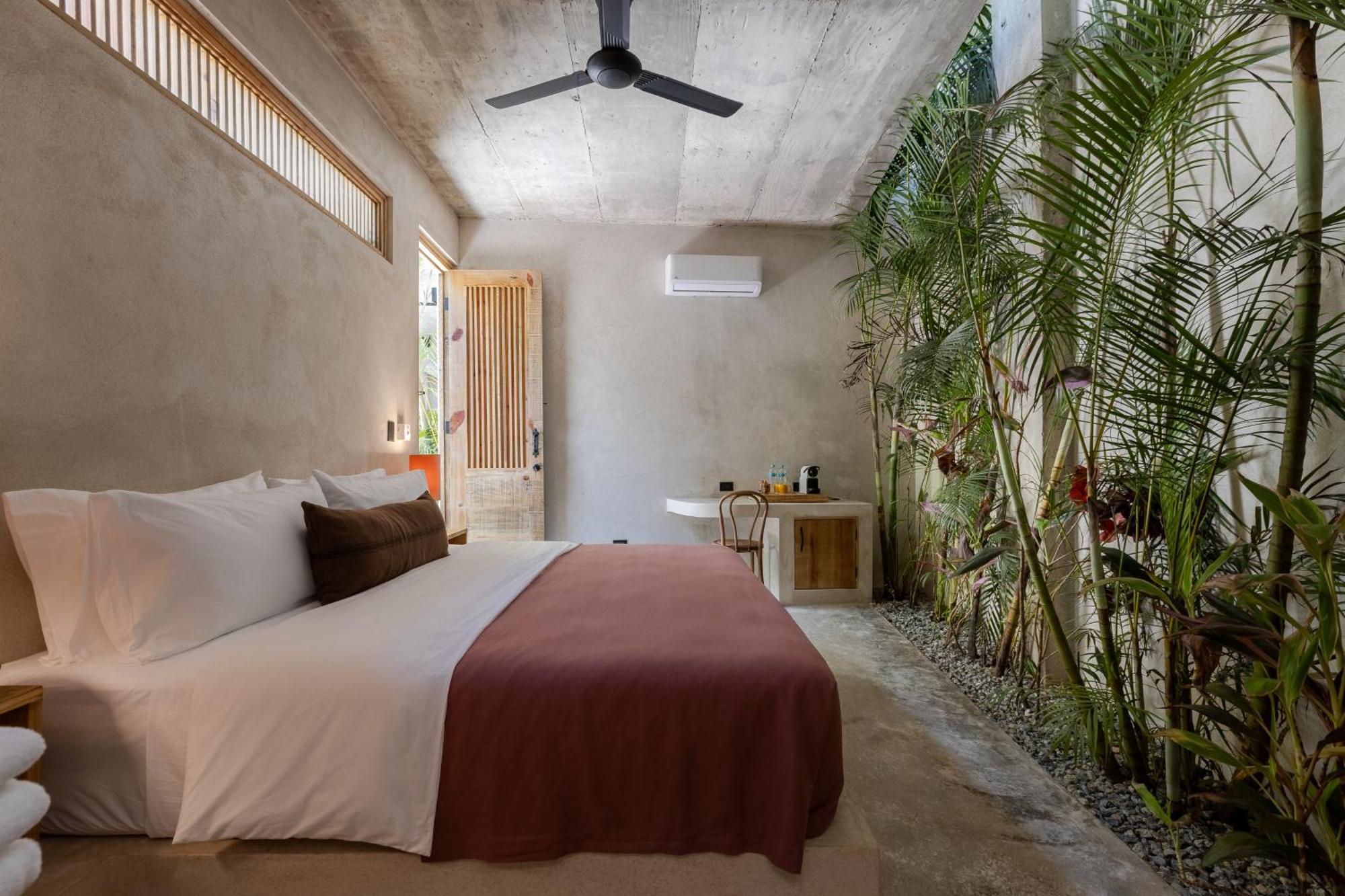 King Room with Garden View